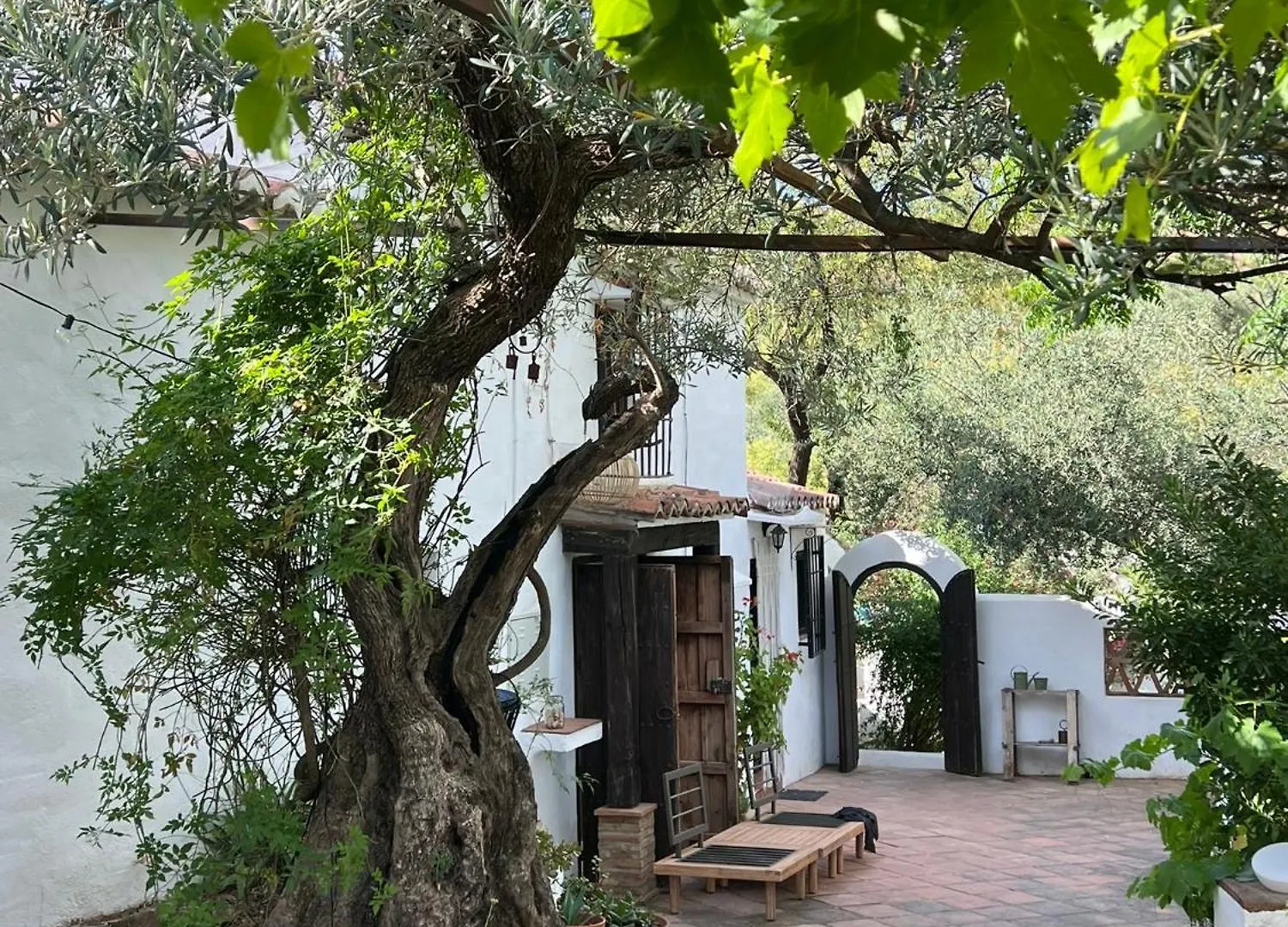 Finca Maran Moorish Style With Rooftop And Pool Comares