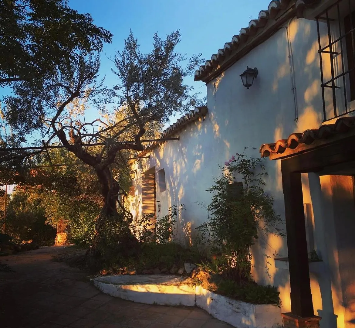 Finca Maran Moorish Style With Rooftop And Pool Comares Spain