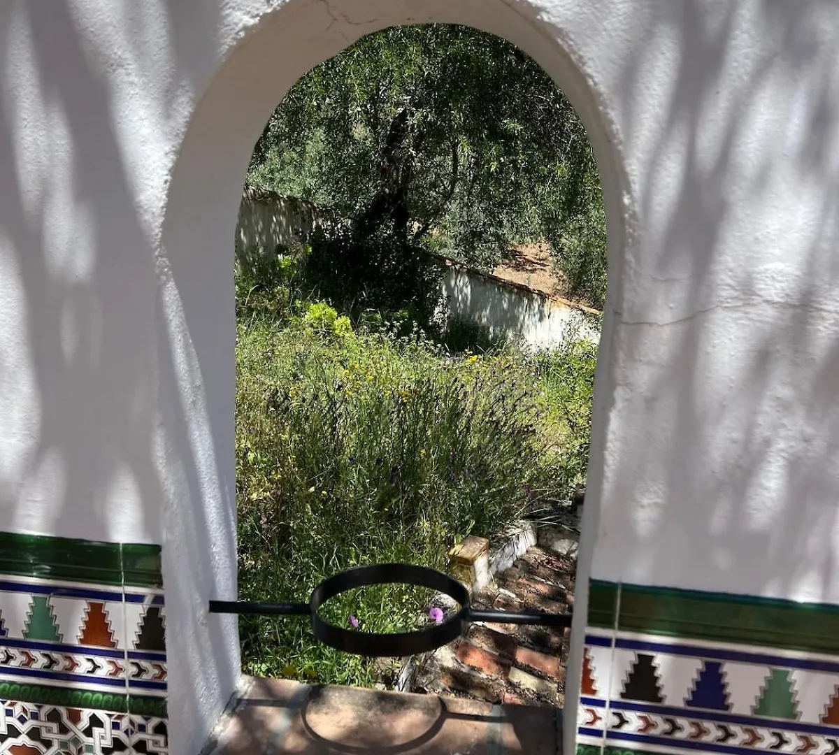 Finca Maran Moorish Style With Rooftop And Pool Comares 0*,